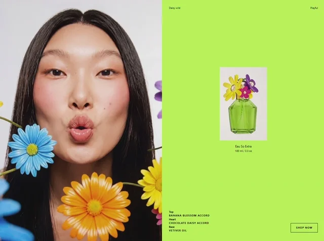 雏菊自然产品展示动态效果预览