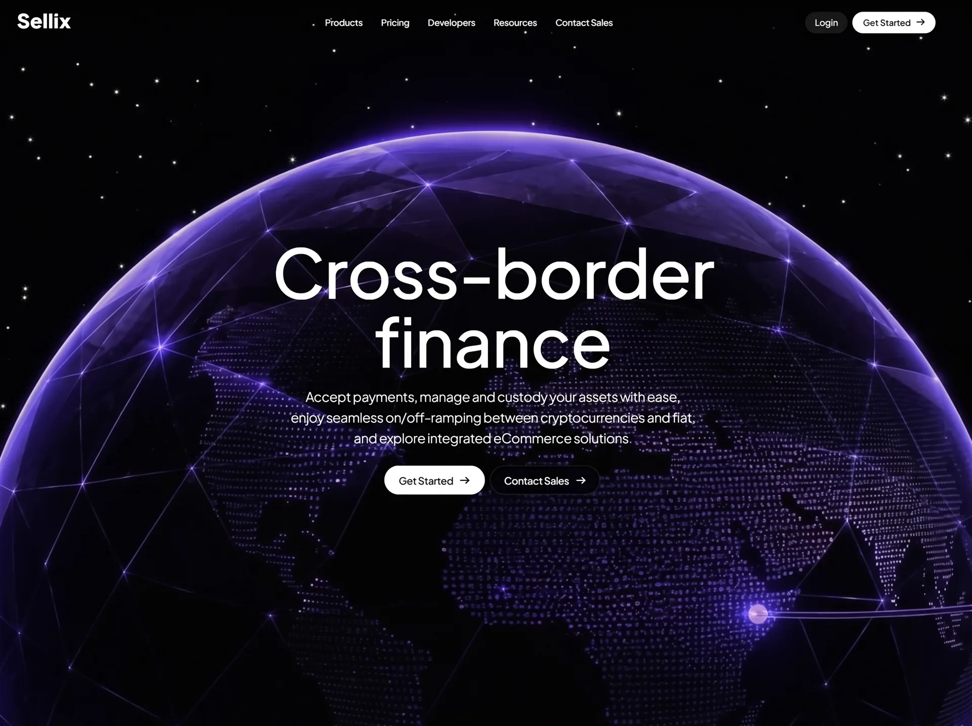 Sellix 金融科技首屏